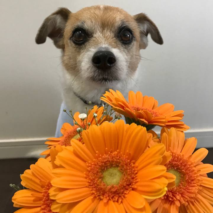 62451713 5aca 4f97 a026 08e78d23f973 1583396435820