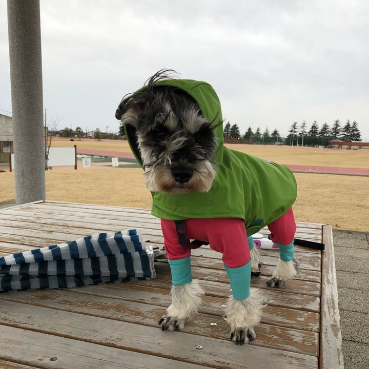 62452474 5ae3 460a 8fc3 edc29874382c 1648270250763