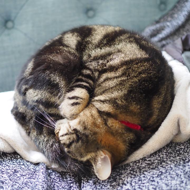 624570c7 e059 4d53 b697 4a70cb9f66a3 1620825110251