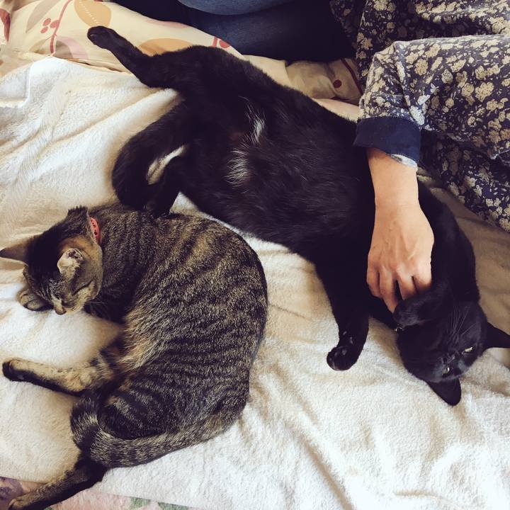 62457c6b f0ed 437c a267 7069ab6adf19 1525573321652