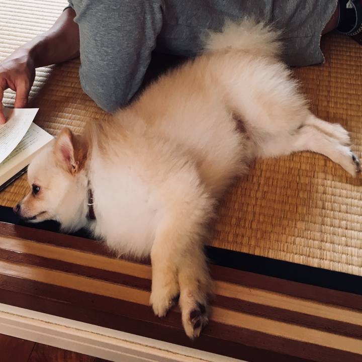 624588e3 c6fc 40b5 a9b8 78a2475825cb 1534384939811