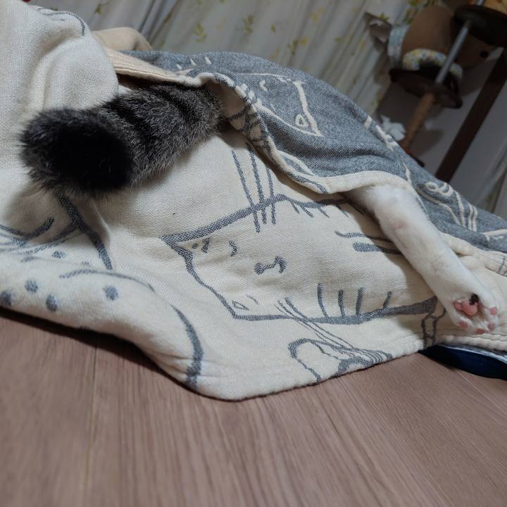 6245987c f9e0 4d5a a22c 88ed28aeb92b 1661520172313