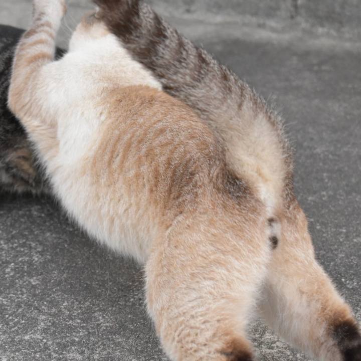 6245b07b e96d 406d af56 4c59917bcac2 1539505113875