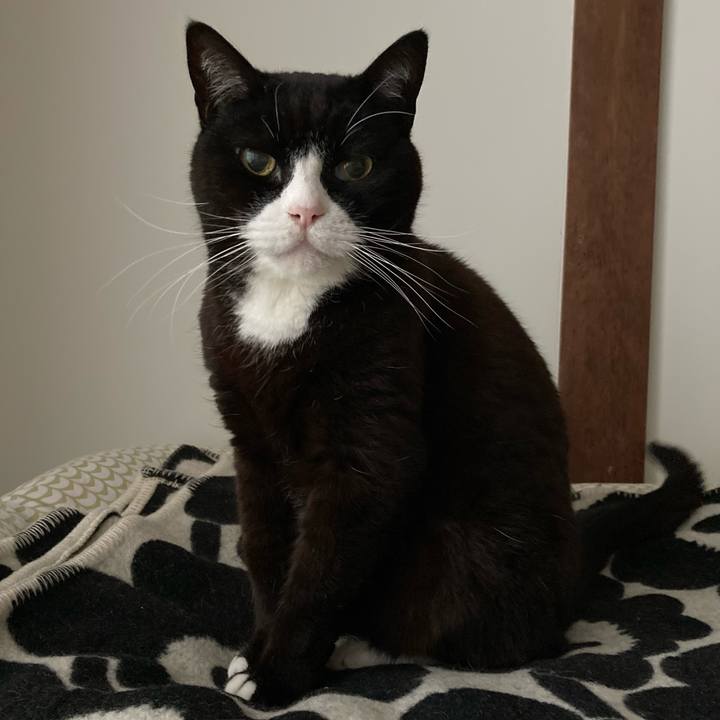 6246295f 6365 449f a1ea 26093430bade 1618612629175