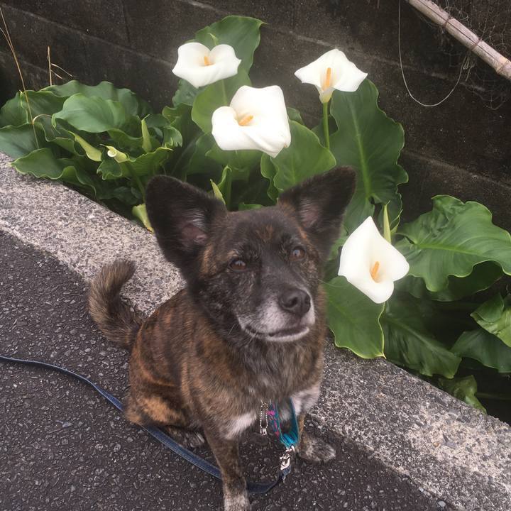 6246383d 5335 48c6 bb8e 9704e49e7ace 1556290408074