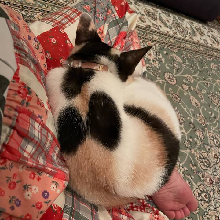 62464bf4 f7de 4c1b 908d 0dc3c04e2a05 1681734815052