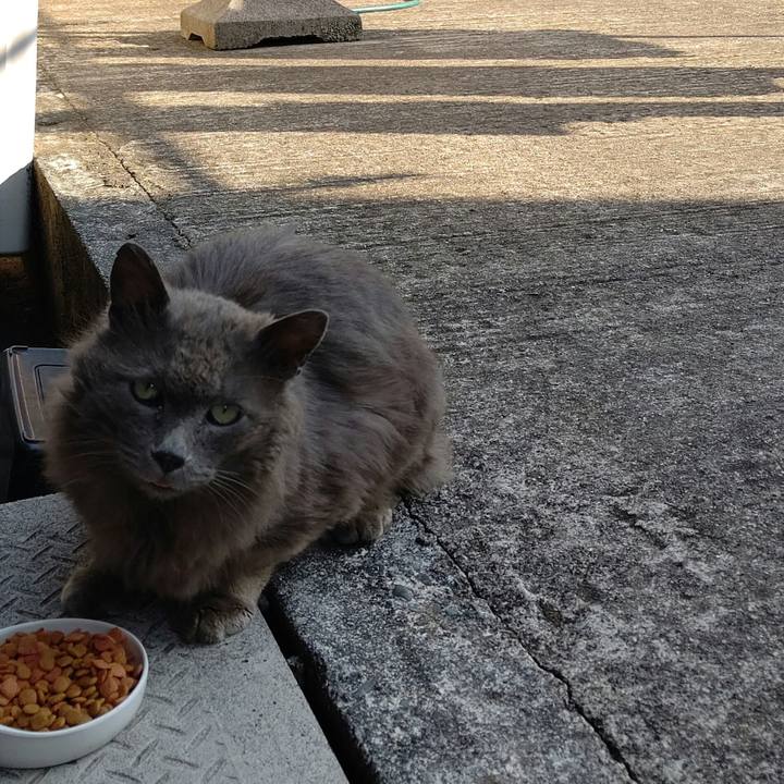 624666ef b9d0 4c2f 9c69 e48711ebfeaf 1651566803482