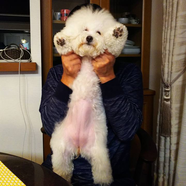 62467f7b 32c7 4e2f bc27 81c9c8021ad8 1542539701875