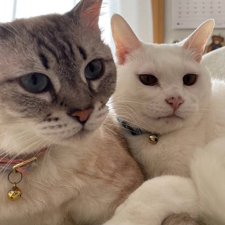 6246c2d4 3893 44e3 9068 001d26efba32 1761995563236