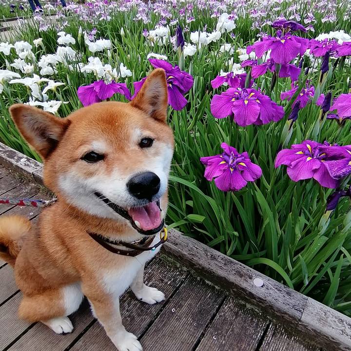 624745cb a5c0 4750 9b19 806e412b9843 1622974823807