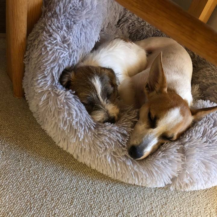 624745ea 9016 4d21 bf9e 081e3a89c1c3 1574598612494