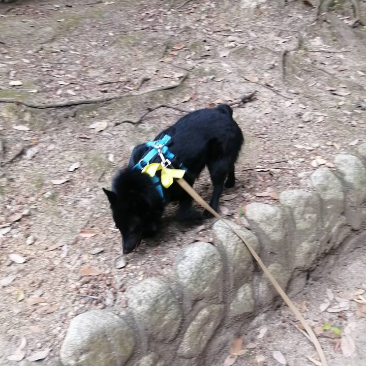 62475014 aa68 4af6 9412 ace00e6dbe4f 1654897856844