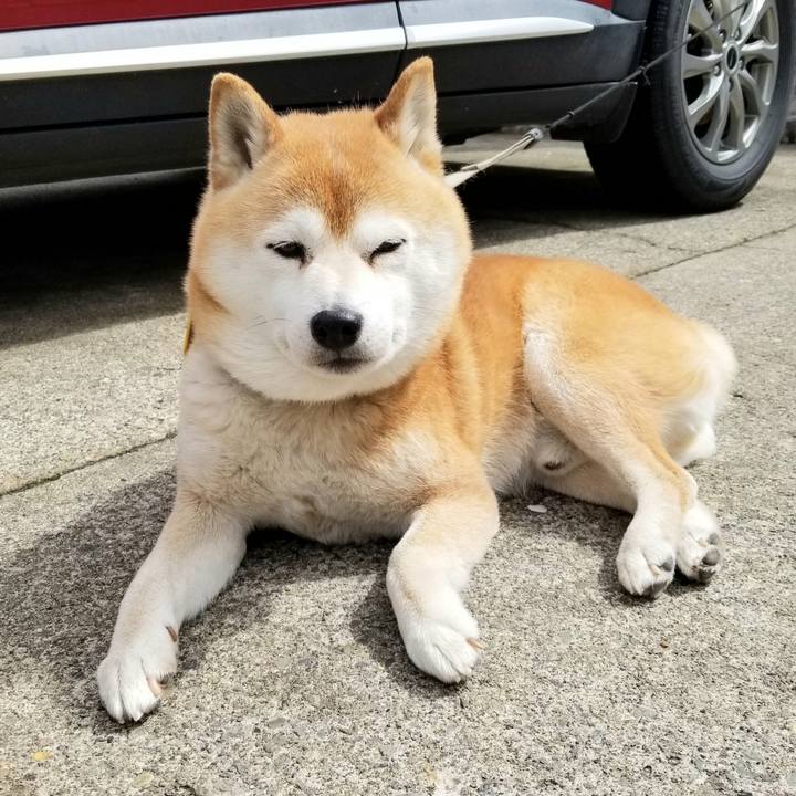 62478fb7 75da 4799 b9d0 51f8f8b968d4 1618707924950