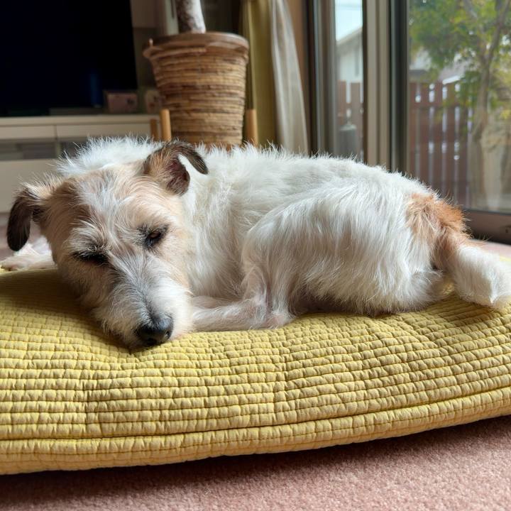 6247c1b4 6c62 49b3 a95e 37bac03ce6bf 1762175355451