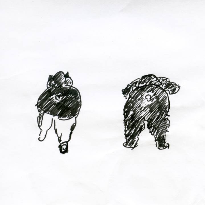 6247c4f1 6bd9 4818 a0a7 e0f198aed2ee 1548240587824