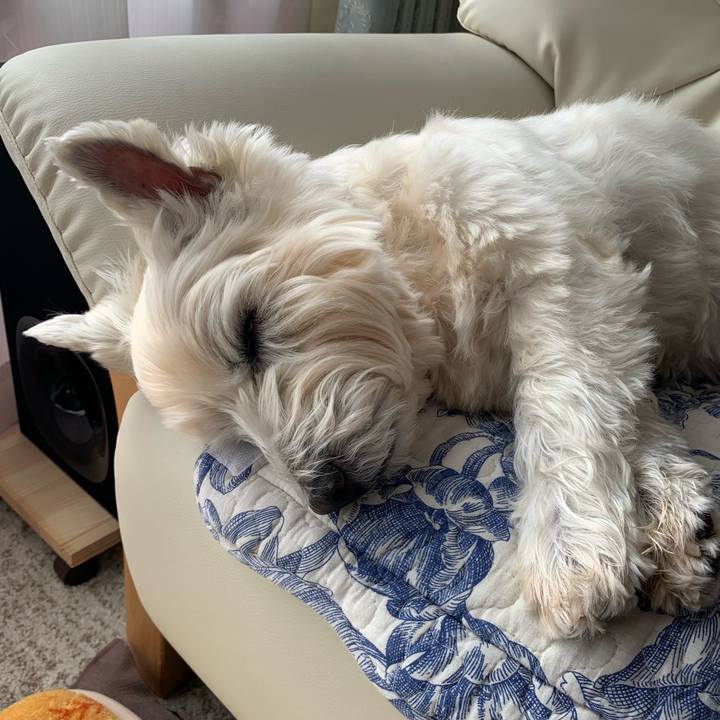 6247e6cf 6d74 400a 9129 9d3b0825ac1a 1645758696093