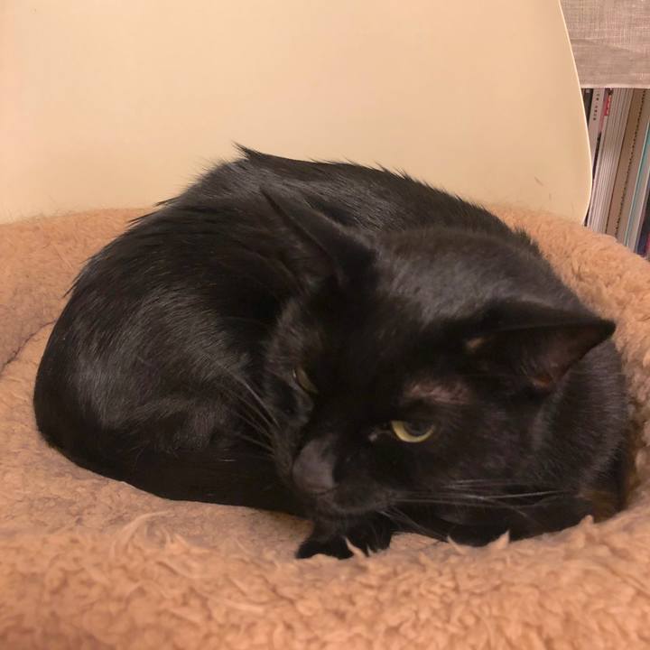 62483ce3 fc10 4d67 9306 3f1fab1cc8f5 1574674329457