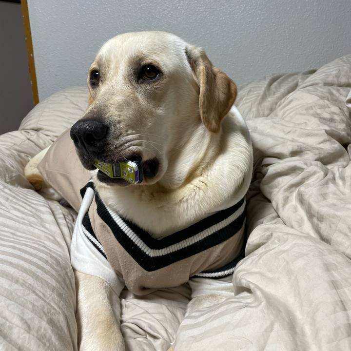 624851d1 0561 438c 9dfd 1bab7e886704 1638538967691