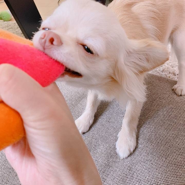 624878bc d6db 4ec3 a1c0 27b291a731ca 1624363207031