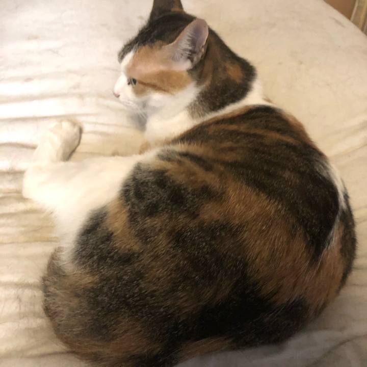 62487c4b b07a 4c3e ad4f 7350cb0b3ea1 1592774619987