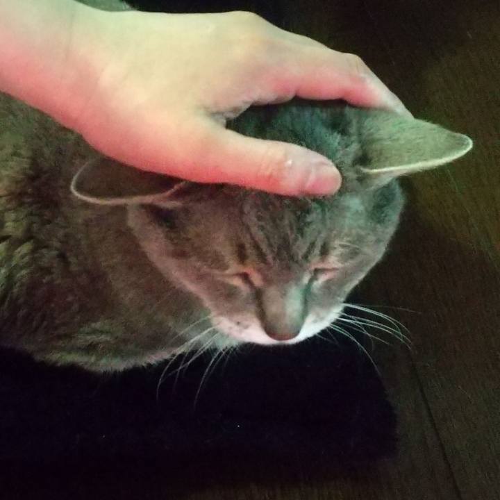 62488403 390b 4816 8302 bd6a212f1d5e 1651695642851