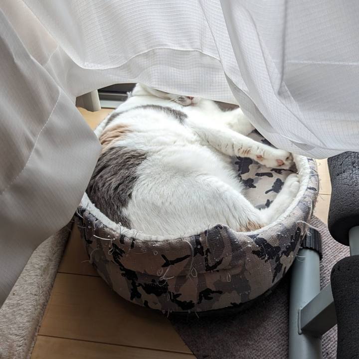 6248a8c7 5720 4d1b 8ed8 1a9528f31a9e 1719380973663