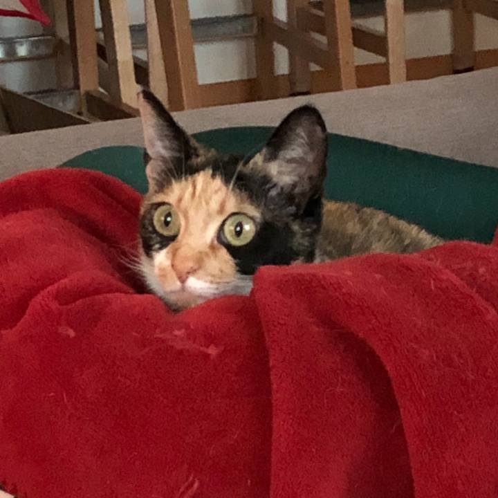 6248d652 3114 4e45 949b c2b77370c313 1524907658138