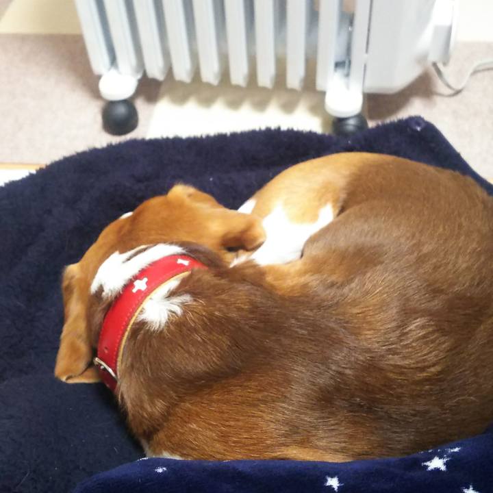 6248d7b4 0bd5 4fd0 ab0b 928a4acd9f3b 1645264969985