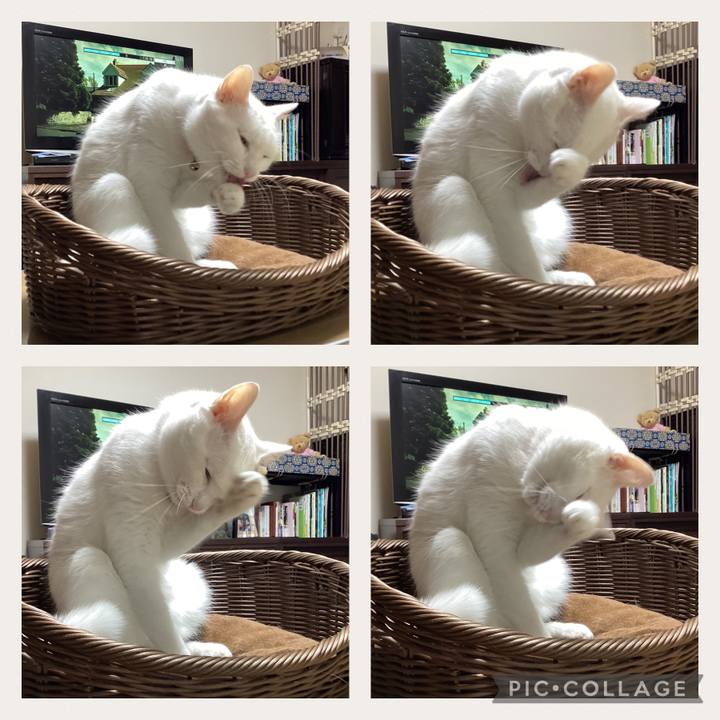 6248f429 bbb1 4784 a41f 6782b46aa643 1718939899976