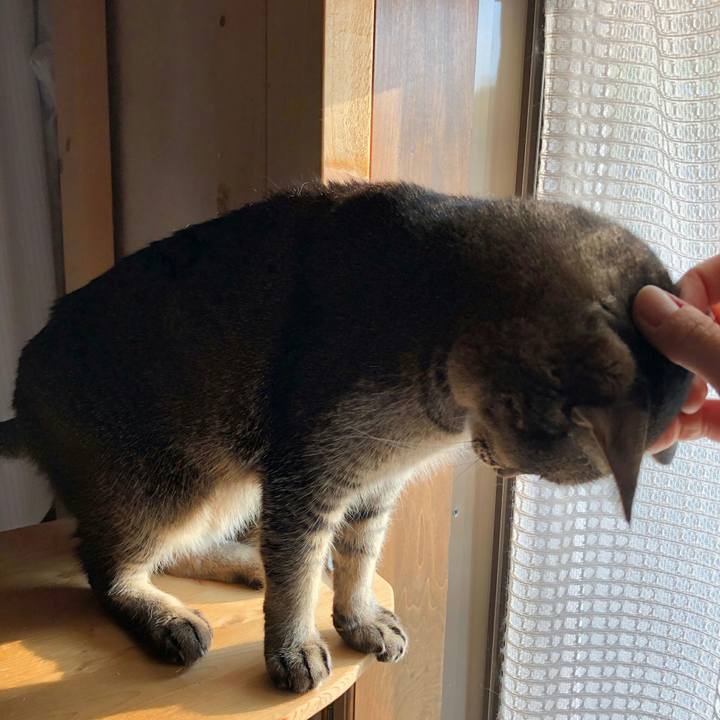 6248f9e1 6d58 4aa8 b454 5e68ef397445 1589243491953