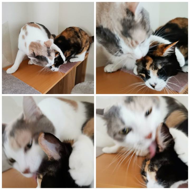 62490020 6f0e 45a5 88f0 60e472c6b5d0 1630741925474