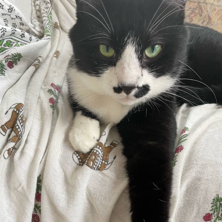 624925c3 012e 4f40 ae3a 4084899ba8ad 1687651280469