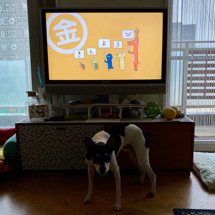 62495304 b913 4f6a aef8 dc4724bbc849 1592518539046