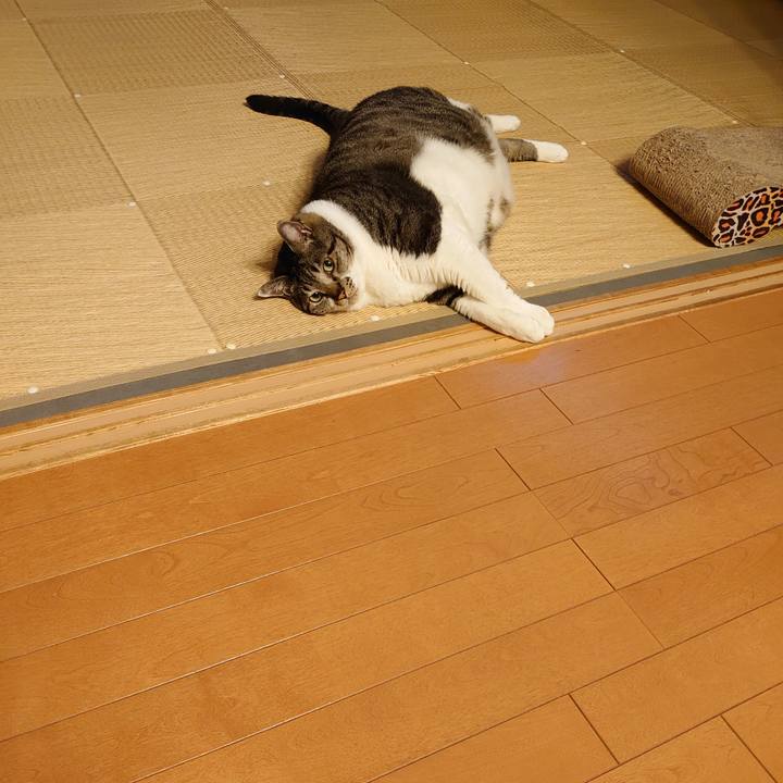 62499ee3 2e89 484b 9733 ffa89aa0392c 1595464514867