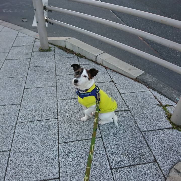 6249c9e8 1657 4755 8ab4 6f3033f5f563 1518472639878