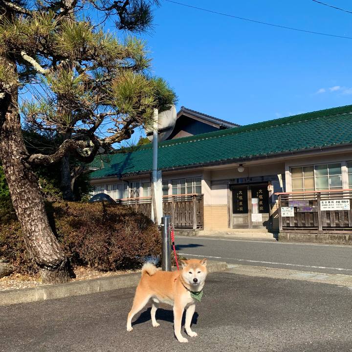 6249ca79 76b0 4cef 8f9c f47c26cf356e 1673512316245