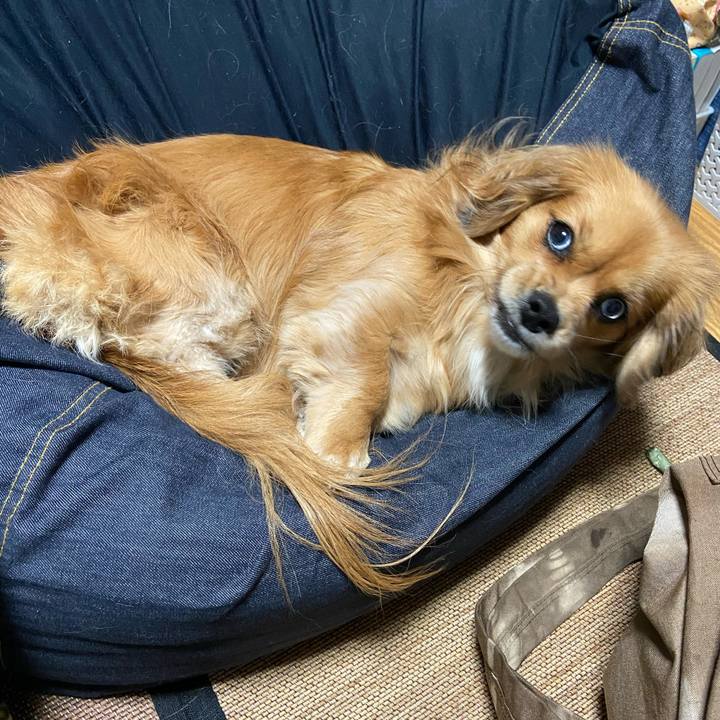 6249d2aa 5e3b 4bce b98d 01a6d640016e 1576620120300