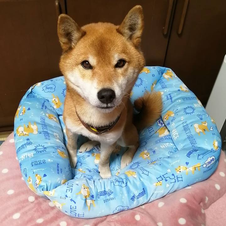 6249d3ec cfa4 43aa 909a 8f5967bb7aff 1609143555042