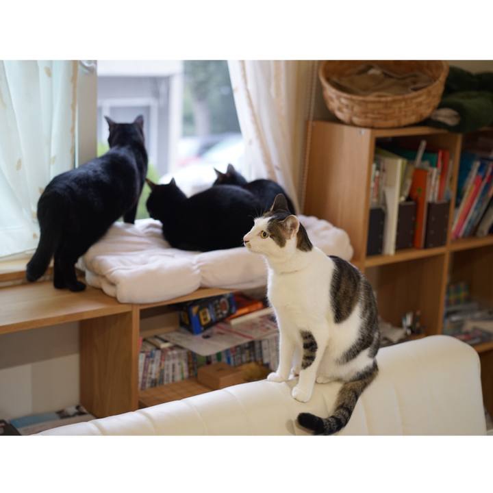 6249ee75 5ff1 471e 841c ad4e5f0cb673 1551829605816