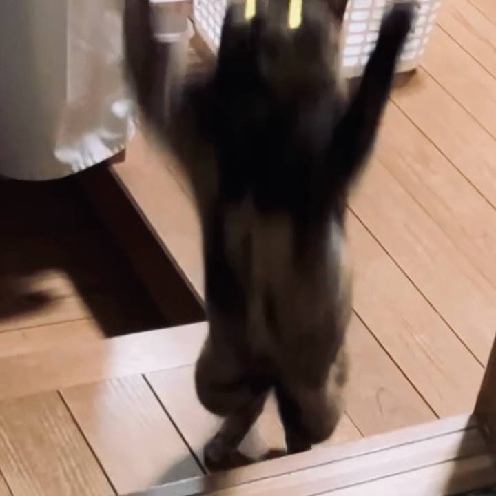 624a1340 9398 459b 904b e499ab5bc3df 1735953718215