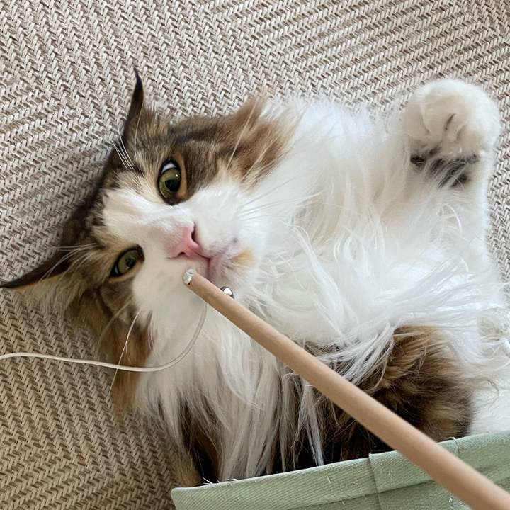 624a1e67 bbb2 4728 90c4 278a5affa521 1684023566161