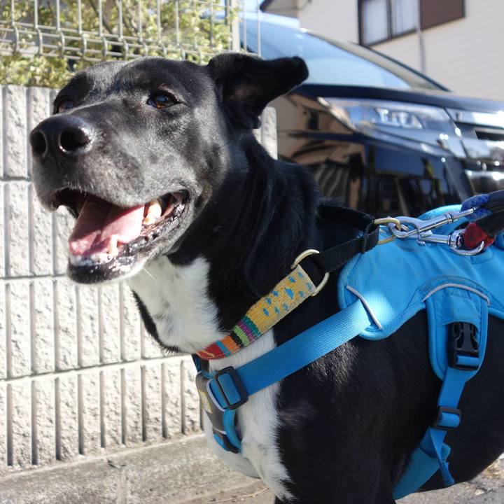 624a4cb9 901a 441d 9bdc a9e0322ff4b6 1616726406855