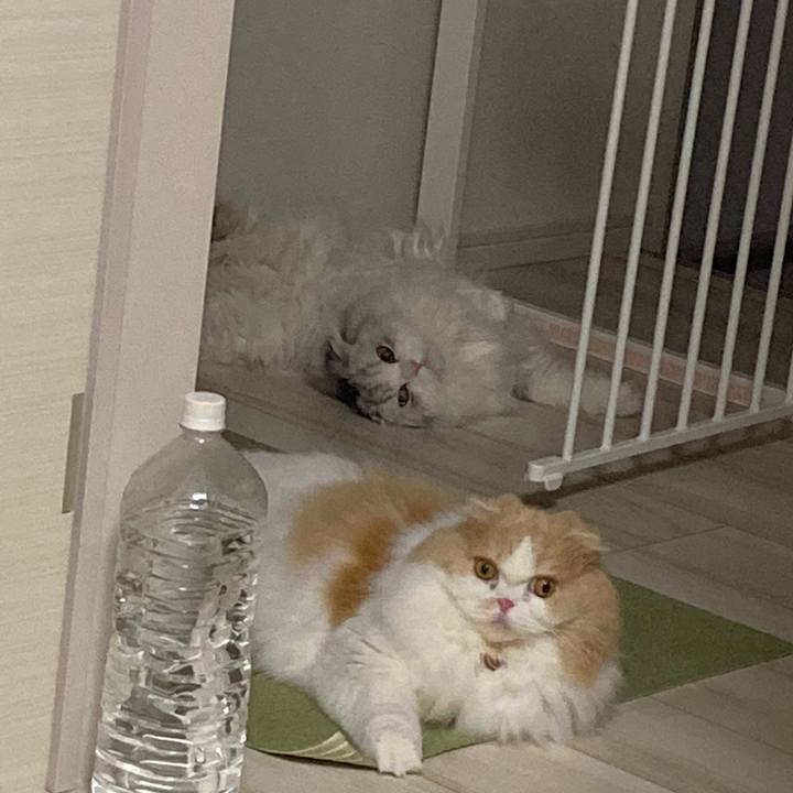 624a55f1 16ce 481b b49d 9a1c78d5d8b5 1633348972370