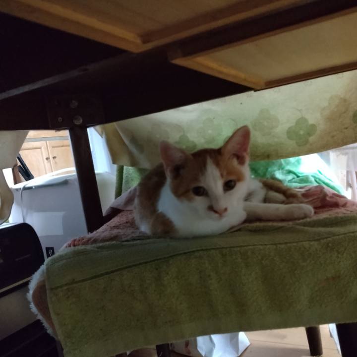 624a68dd c541 4587 8918 855781cdeedb 1731278458314