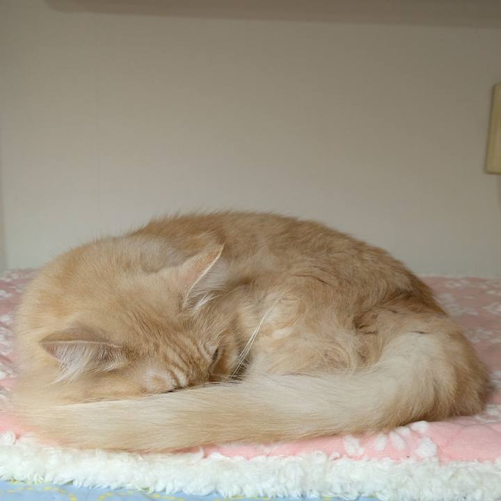 624a7b72 c11d 4e6b 8e6c a8739430077c 1730289731272