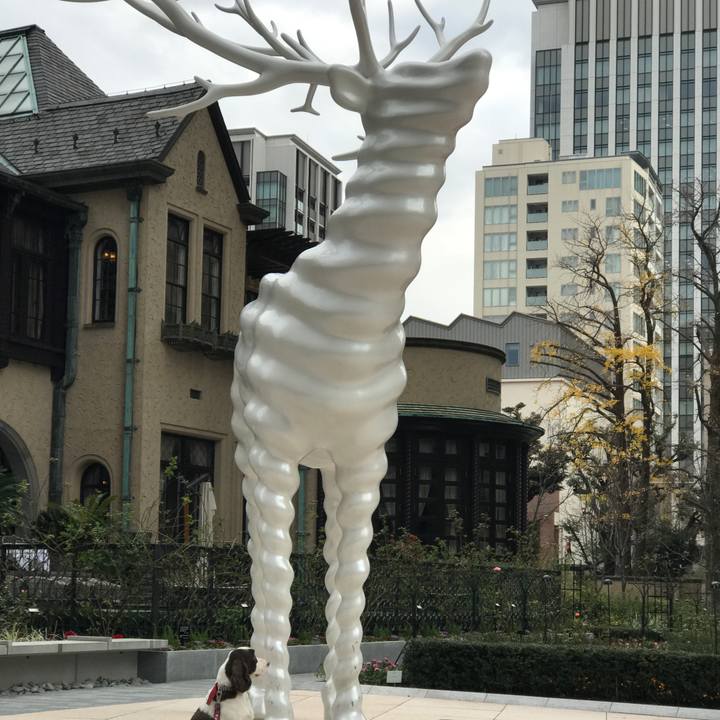 624a9f96 5c8f 4e50 b280 ddd2d155e932 1513353466428