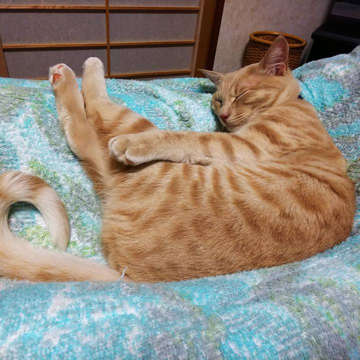 624ac911 96c6 425d b568 ae05eb328b89 1549113734645