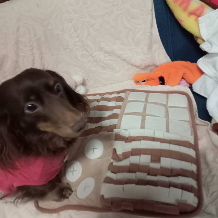 624ad823 7ca5 438d b352 6293d9525ad5 1768171311045