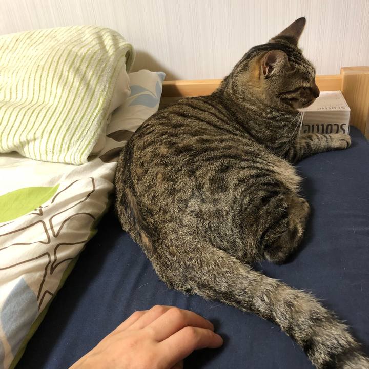 624ad915 f469 4958 85ab 8024e5a156a8 1528690168135