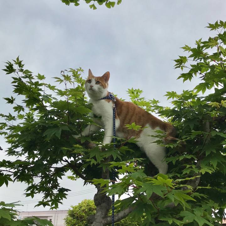 624b3041 bfd8 4b76 8ba4 6ab46bae0065 1526180566325